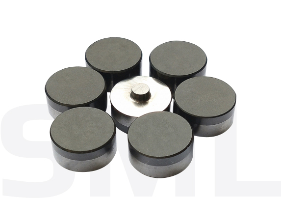 Taglierina per perni PDC