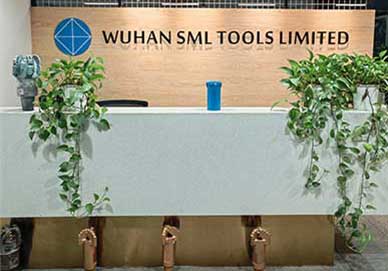 Video di introduzione SML